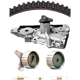 Purchase Top-Quality Timing Belt Kit With Water Pump by DAYCO - WP179K1A pa3