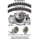 Purchase Top-Quality Timing Belt Kit With Water Pump by DAYCO - WP187K1A pa1