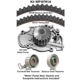 Purchase Top-Quality Timing Belt Kit With Water Pump by DAYCO - WP187K1A pa2