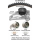 Purchase Top-Quality Timing Belt Kit With Water Pump by DAYCO - WP199K1A pa1