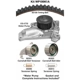 Purchase Top-Quality Timing Belt Kit With Water Pump by DAYCO - WP199K1A pa6