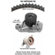 Purchase Top-Quality Timing Belt Kit With Water Pump by DAYCO - WP224K1B pa3