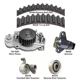 Purchase Top-Quality Timing Belt Kit With Water Pump by DAYCO - WP226K2A pa1