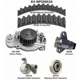 Purchase Top-Quality Timing Belt Kit With Water Pump by DAYCO - WP226K2A pa3