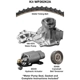 Purchase Top-Quality Timing Belt Kit With Water Pump by DAYCO - WP262K2A pa1