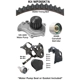 Purchase Top-Quality Timing Belt Kit With Water Pump by DAYCO - WP265K7A pa1