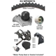 Purchase Top-Quality Timing Belt Kit With Water Pump by DAYCO - WP265K7A pa2