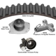 Purchase Top-Quality Timing Belt Kit With Water Pump by DAYCO - WP295K2A pa1