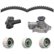 Purchase Top-Quality Timing Belt Kit With Water Pump by DAYCO - WP313K1A pa2