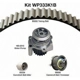 Purchase Top-Quality Timing Belt Kit With Water Pump by DAYCO - WP333K1B pa1