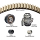 Purchase Top-Quality Timing Belt Kit With Water Pump by DAYCO - WP334K1A pa1