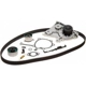 Purchase Top-Quality Timing Belt Kit With Water Pump by GATES - TCKWP281 pa2