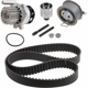 Purchase Top-Quality INA - 530-0201-330 - Engine Timing Belt Kit With Water Pump pa2