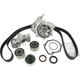 Purchase Top-Quality Timing Belt Kit With Water Pump by SKF - TBK307WP pa2