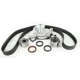 Purchase Top-Quality Timing Belt Kit With Water Pump by SKF - TBK257AWP pa1