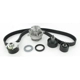 Purchase Top-Quality Timing Belt Kit With Water Pump by SKF - TBK294AWP pa2