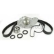 Purchase Top-Quality Timing Belt Kit With Water Pump by SKF - TBK295AWP pa3