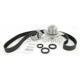 Purchase Top-Quality Timing Belt Kit With Water Pump by SKF - TBK295WP pa2