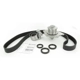 Purchase Top-Quality Timing Belt Kit With Water Pump by SKF - TBK295WP pa3