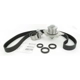 Purchase Top-Quality Timing Belt Kit With Water Pump by SKF - TBK295WP pa4