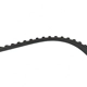 Purchase Top-Quality SKP - SKT104 - Engine Timing Belt pa8