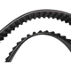 Purchase Top-Quality SKP - SKT226 - Timing Belt pa4