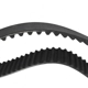 Purchase Top-Quality SKP - SKT245 - Engine Timing Belt pa7