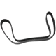 Purchase Top-Quality SKP - SKT295 - Timing Belt pa2