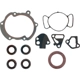 Purchase Top-Quality APEX AUTOMOBILE PARTS - ATC11640 - Timing Cover Gasket Set pa1