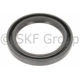 Purchase Top-Quality Timing Cover Seal by SKF - 17629 pa8