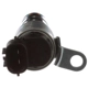 Purchase Top-Quality BWD AUTOMOTIVE - VV1100 - Engine Variable Timing Solenoid pa2
