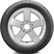Purchase Top-Quality Advantage Control by BFGOODRICH - 17" Tire (225/55R17) pa1