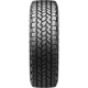 Purchase Top-Quality BRIDGESTONE - 13877 - 19" Tire DUELER AT ASCENT (255/55R19) pa1