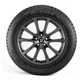 Purchase Top-Quality Blizzak DM-V2 by BRIDGESTONE - 19" Tire (255/50R19) pa2