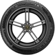 Purchase Top-Quality WINTER 16" Tire 215/70R16 by CONTINENTAL pa13