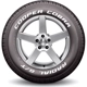 Purchase Top-Quality COOPER TIRES - 160018024 - 15" Tire COBRA RADIAL G/T (255/60R15) pa1