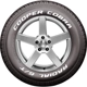 Purchase Top-Quality COOPER TIRES - 160018024 - All-Season 15 " Tire Cobra Radial G/T 255/60R15 pa4