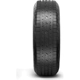 Purchase Top-Quality HERCULES TIRES - 98174 - 17" Tire TERRA TRAC HPT (225/65R17) pa4