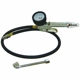 Purchase Top-Quality Tire Inflator by RODAC - R2001 pa2