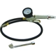 Purchase Top-Quality Tire Inflator by RODAC - R2001 pa3