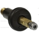 Purchase Top-Quality Ensemble de valve de surveillance de la pression des pneus par BLUE STREAK (HYGRADE MOTOR) - TPM2020VK pa8