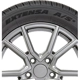 Purchase Top-Quality EXTENSA A/S II by TOYO TIRES - 15" Tire (215/60R15) pa1