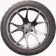 Purchase Top-Quality UNIROYAL - 23436 - 19" Tire POWER PAW A/S (225/45R19) pa1