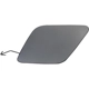 Purchase Top-Quality Tow Hook Cover - LX1029119 pa1