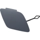 Purchase Top-Quality Tow Hook Cover - BM1029166 pa1