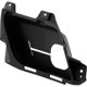 Purchase Top-Quality Tow Hook Cover - CH1029111 pa1