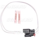 Purchase Top-Quality Trailer Connection Kit by BLUE STREAK (HYGRADE MOTOR) - S1895 pa30