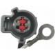 Purchase Top-Quality Trailer Connection Kit by BLUE STREAK (HYGRADE MOTOR) - TC494 pa3