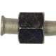Purchase Top-Quality Transmission Cooler Line by DORMAN (OE SOLUTIONS) - 624-334 pa1