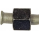 Purchase Top-Quality Transmission Cooler Line by DORMAN (OE SOLUTIONS) - 624-824 pa7